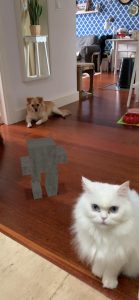 AR Gallery Orekan